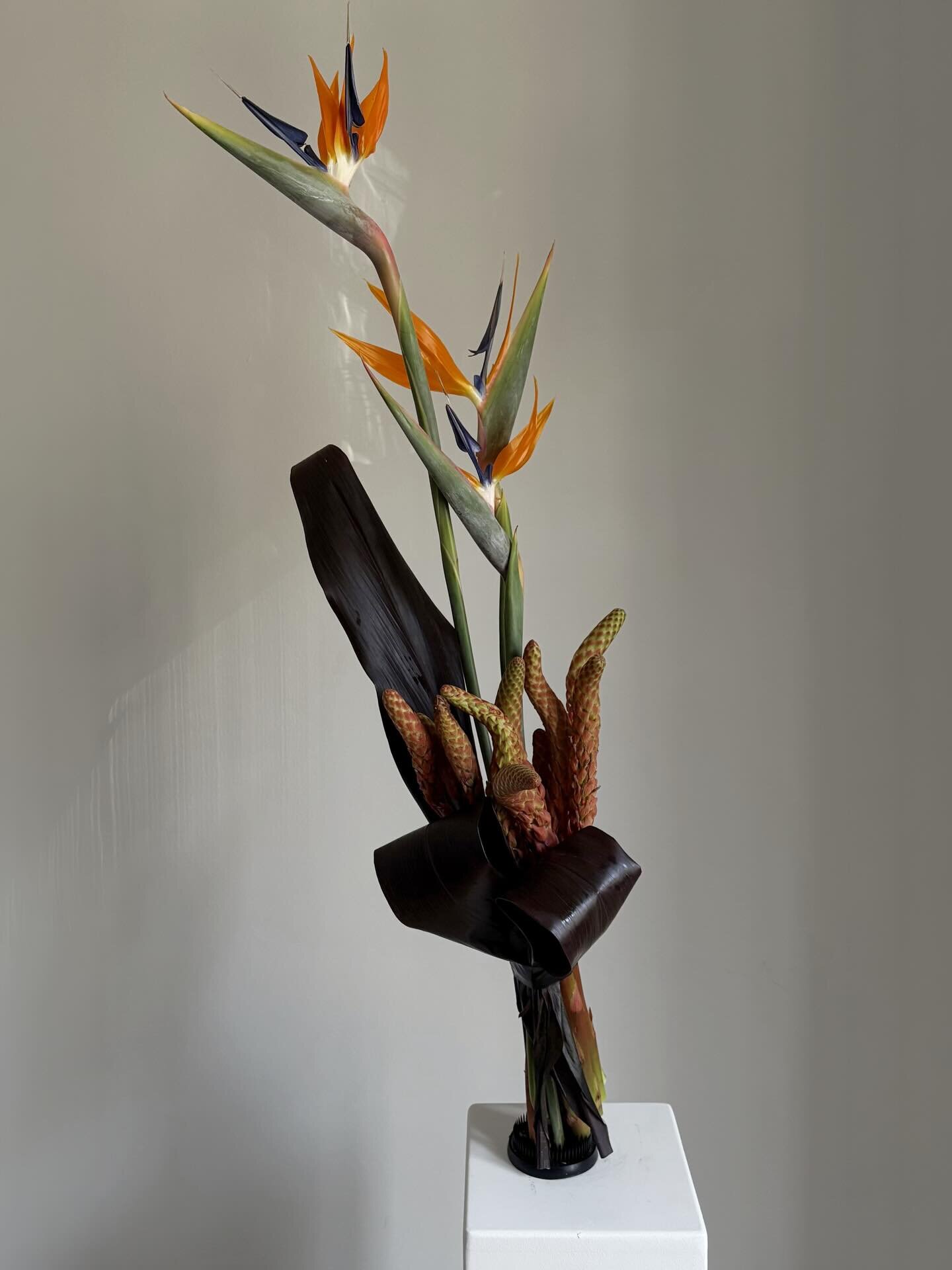 Moiré — Dettaglio composizione CÉLESTE Milano, eleganza botanica | Floral detail Milan, botanical elegance